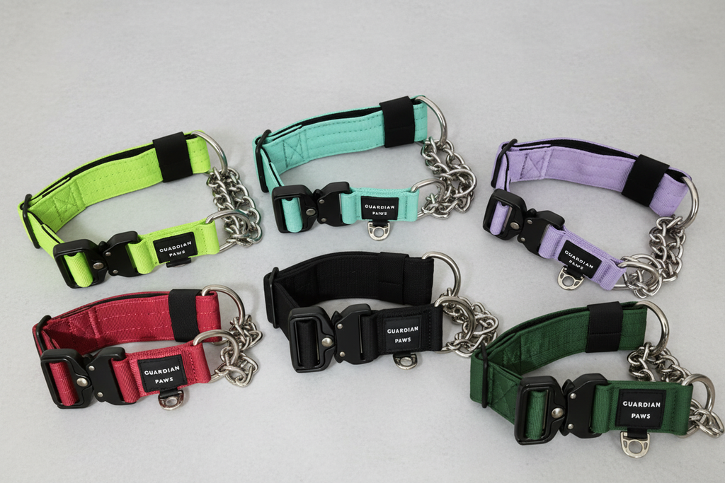 Guardian Paws Check Yourself Limited-Slip Martingale Dog Collar | No-Pull Training Collar for Large Breeds