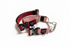 Guardian Paws Martingale Collar (PRE-ORDER)