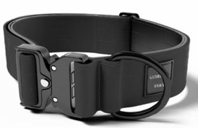 Guardian Paws Outlaw Collar (Pre - Order)