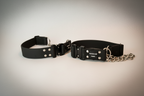Guardian Paws Stormproof PVC Martingale Dog Collar | Waterproof Training Collar for Large Breeds (Limited Run)