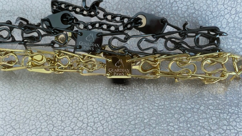 Guardian Paws Prong Collar