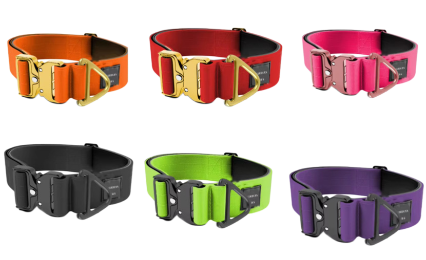 Guardian Paws Hard Knocks Heavy Duty 1.5" Dog Collar | Large Breed Flat Collar (Pre - Order)