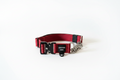 Guardian Paws Martingale Collar (PRE-ORDER)
