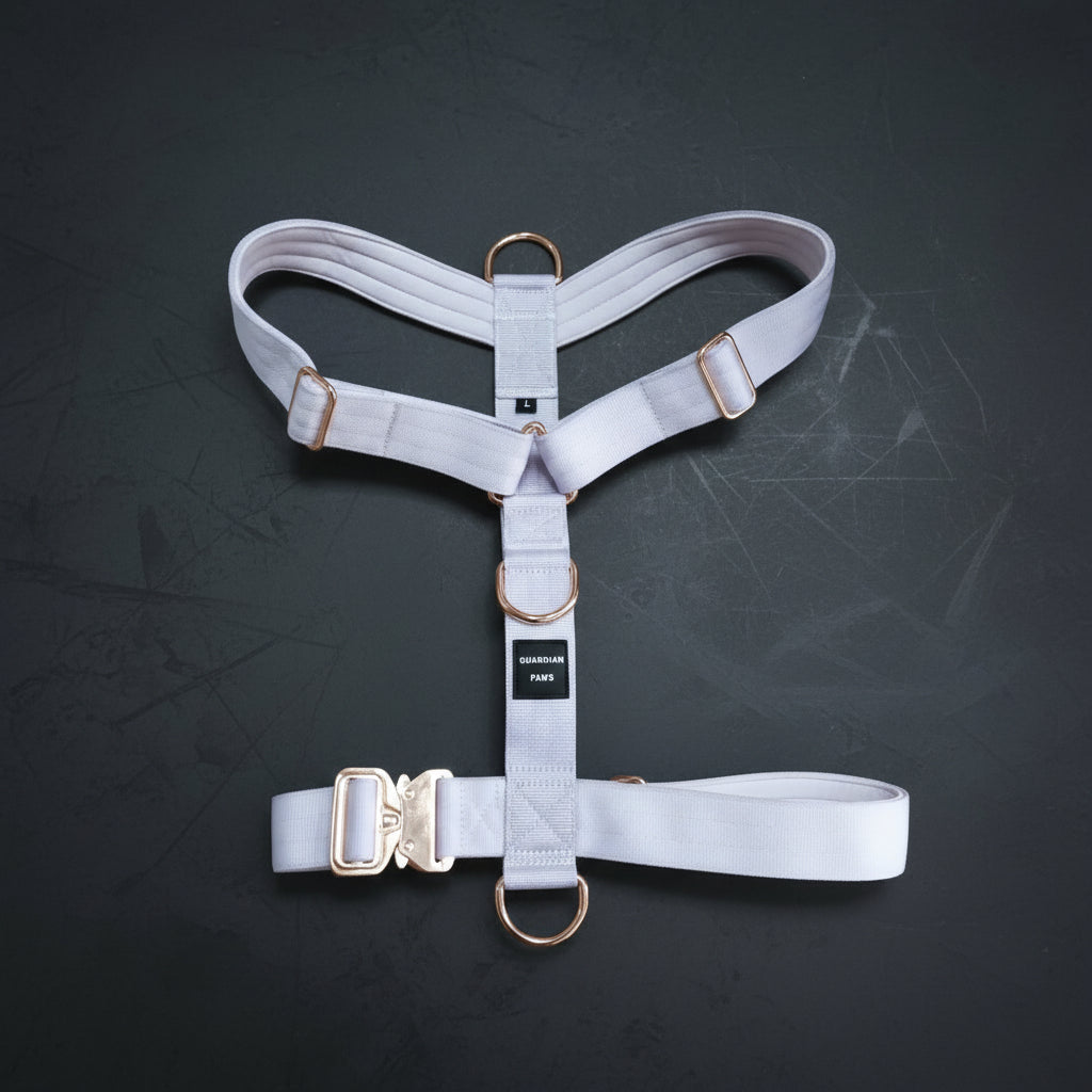 Guardian Paws Vanguard Harness (limited-run)