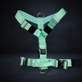 Guardian Paws Vanguard Harness (limited-run)