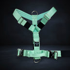 Guardian Paws Vanguard Harness (limited-run)