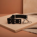 Guardian Paws Rogue Series Martingale (limited-run)