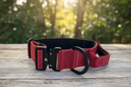 Guardian Paws - Tactical Collar