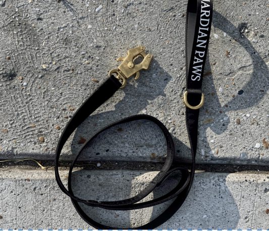 Noir Armory Tactical Leash